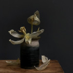 FADED TULIPS by Amanda Wright, Ealing&HH