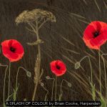 A SPLASH OF COLOUR by Brian Cooke, Harpenden