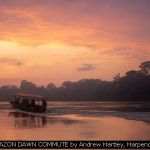 AMAZON DAWN COMMUTE by Andrew Hartley, Harpenden