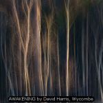AWAKENING by David Harris, Wycombe