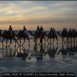 CAMEL RIDE AT SUNSET by Dave Gowlett, Park Street
