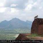 CLIMBING THE WALLS by Raymond Lofthouse, XRR