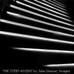 THE STEEP ASCENT by Julia Cleaver, Imagez