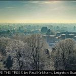 ABOVE THE TREES by Paul Kirkham, Leighton Buzzard