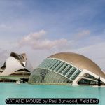 CAT AND MOUSE by Paul Burwood, Field End