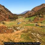 WATENLATH VALLEY by Ted Weller, Field End