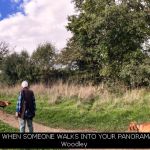 WHAT HAPPENS WHEN SOMEONE WALKS INTO YOUR PANORAMA by Susi Dillon, Woodley