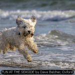 FUN AT THE SEASIDE by Dave Belcher, Oxford