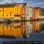 TRODHEIM BACKS by Terry Pollard, Kidlington