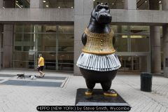 HIPPO (NEW YORK) by Steve Smith, Wycombe