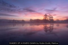 SHADES OF A RIVERS DAWN by Robin Dodd, 45363