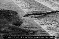 THE MONSTER ON THE WEIR by Jonah Rees, Northfields