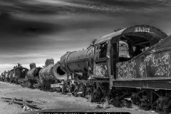TRAIN GRAVEYARD by Tina Read, Maidenhead
