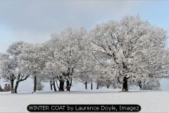 WINTER COAT by Laurence Doyle, Imagez