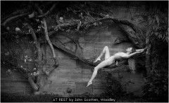 AT REST by John Scotten, Woodley