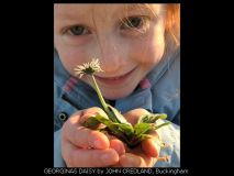 2022 Phone Photography Awards