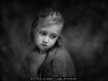 WISTFUL by Brian Gough, Amersham
