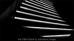 THE STEEP ASCENT by Julia Cleaver, Imagez
