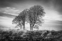 TREES ON ROUNDWAY HILL by Gillian Morgan, Amersham