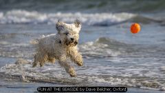 FUN AT THE SEASIDE by Dave Belcher, Oxford