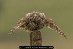 GETTING WET by Dave Atkinson, Oxford