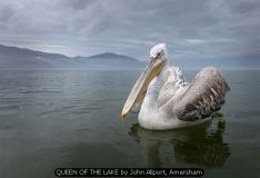 QUEEN OF THE LAKE by John Allport, Amersham