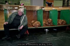 DOG DAY AFTERNOON by Ian Bray, Oxford