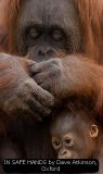 IN SAFE HANDS by Dave Atkinson, Oxford
