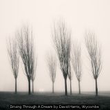 Driving Through A Dream by David Harris, Wycombe