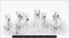 Racing Throught The Sea by Gillian Morgan, Amersham