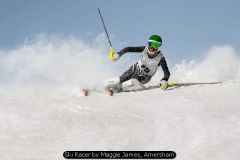 Ski Racer by Maggie James, Amersham