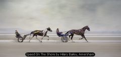 Speed On The Shore by Hilary Bailey, Amersham