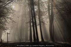 Woodland Walk by Leeann Higgins, Wycombe
