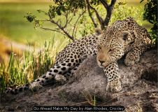 Go Ahead Make My Day by Alan Rhodes, Croxley