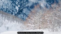 Hakuba by Jenny Fenton, Ealing&HH