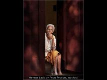 Havana Lady by Peter Prosser, Watford