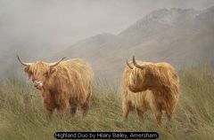 Highland Duo by Hilary Bailey, Amersham