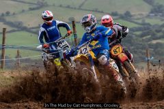 In The Mud by Cat Humphries, Croxley