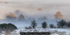 Misty Valley by Stuart Craig, Imagez