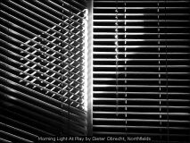 Morning Light At Play by Dieter Obrecht, Northfields