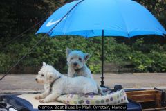 Narrow Boat Blues by Mark Ornstein, Harrow