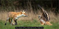 The Stand Off by Belinda Ewart, Field End