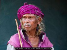 The Village Elder by Vivien Brelsford, Wycombe