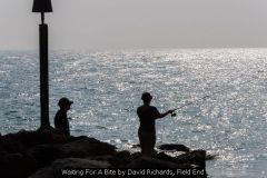 Waiting For A Bite by David Richards, Field End