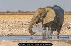 Washing Down by Trevor Hyde, Field End