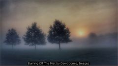 Burning Off The Mist by David Jones, Imagez
