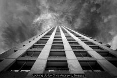 Looking Up by Chris Andrews, Imagez