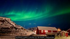 2025 Phone Photography Awards