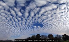Northwick Park Clouds by Pradeep Luther, Harrow