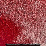 Thawing Frost by Paul Stokes, Leighton Buzzard